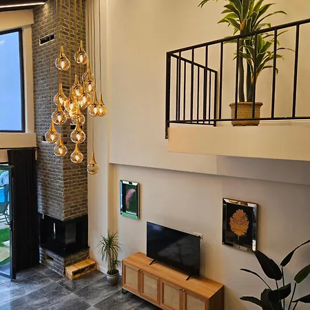 Sapancamodern 2 萨潘贾